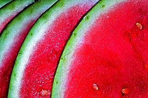 Summer Slices